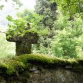 DSCF8398.JPG