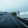 DSCF8350.JPG
