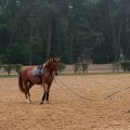 a_DSC0911.JPG